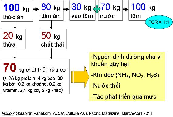 cho tom an mot cach hieu qua